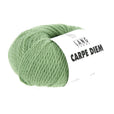 Lang Yarns Carpe Diem – 50g / 90m – Green (0017)