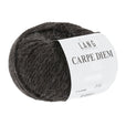 Lang Yarns Carpe Diem – 50g / 90m – Brown Mélange (0368)
